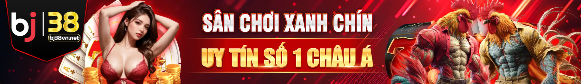 banner-bj38vn-net